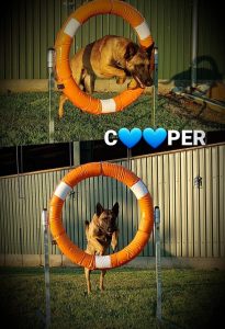 217662818 2964394050484510 3118133799865011874 n