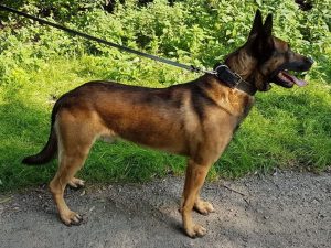 21949918 1478307695594535 5504912612368144007 o