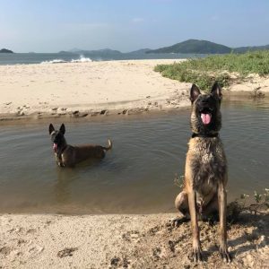 22519473 2041318026090167 8220743154955932962 n