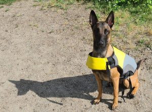 226198954 1909522595918470 1155049568926811459 n