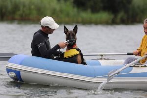 240945870 4807945595902213 9014672105388621848 n