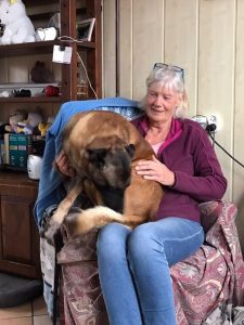 244948085 288456619554870 5357967077660727730 n