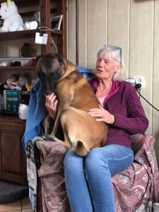 244972318 395021498863768 8594344085140524037 n