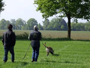 249148 308674999265481 373356968 n