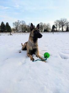 25152086 1155855727877661 2487263819691444994 n