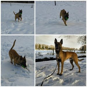 25158235 1156251381171429 918420359047411492 n