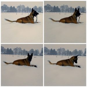 25289491 1155855701210997 3457824928313289135 n