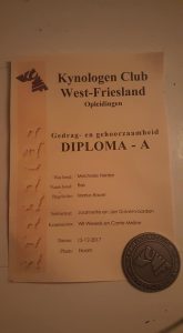 25354180 407015733065999 941070163400427069 n