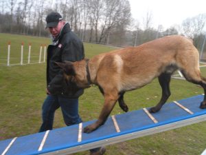 253614 287737964692518 551798654 n