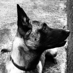 25443176 2069713153250654 445502665680469859 n