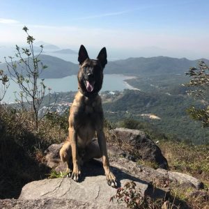 25550331 2070582113163758 5954854687789965209 n