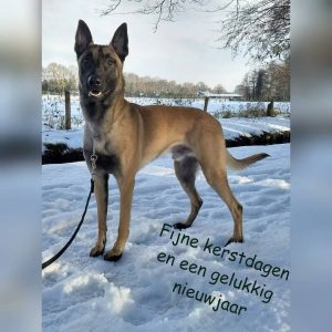 26113854 1164462350350332 7277817988549672412 n