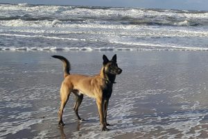 26116471 411995429234696 1827987614328567742 o