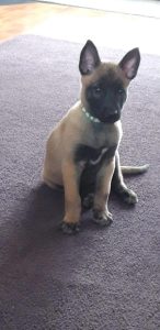 272125020 10226279841052231 6666725184215647770 n