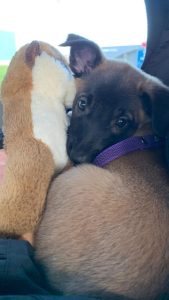 272127740 4714323275326595 1022449384078037427 n