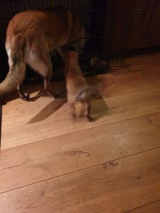 272135557 4771934292913611 7993816223580503959 n