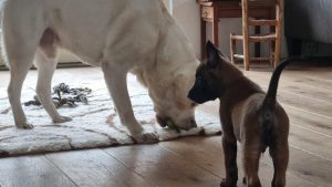 272202739 1393659514401611 6289798323033067384 n