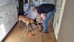 272211111 1393659721068257 6260246835316909072 n