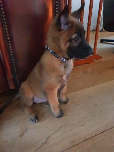 272235259 4762597290513978 4524526127224966105 n