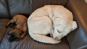 272246780 1394138684353694 1978870867835796180 n