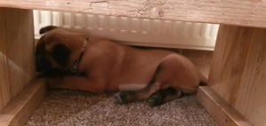 272248266 4719502668141989 8830438116090020733 n