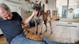 272251501 1393659741068255 701636180434088443 n