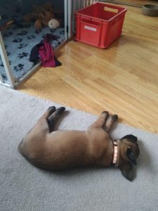 272253702 4653322544780245 3109927103496987723 n