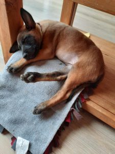 272255783 5334241296605971 2929001984514687099 n