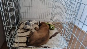 272263470 1393659604401602 7575577471938953690 n