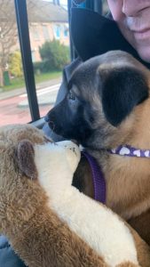 272264773 4714322961993293 7621113916438036118 n