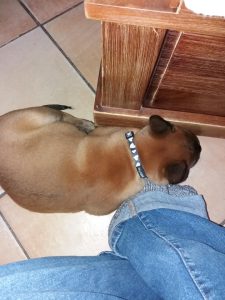 272310517 1029527250935001 785523255526563642 n