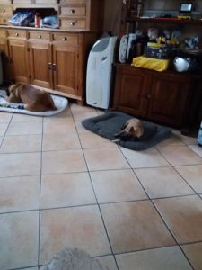 272318346 1029527200935006 8858908128156217339 n