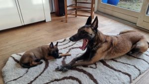 272364759 1394775230956706 6084985446770916257 n