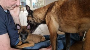 272372151 1393659191068310 4017474507874661182 n