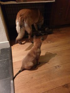 272403650 4771933686247005 5578544055505308865 n