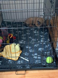 272483603 10226295800491207 7082954844228356052 n