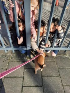 272674928 5344019668961467 407948163643421494 n