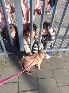 272684279 5342429989120435 774041440474093261 n