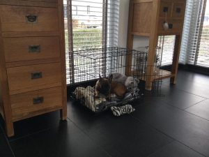 272686469 5548190658531094 8100160036724010844 n