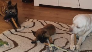 272758786 1397556290678600 8182341127120624685 n