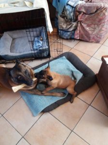 272767262 1032922117262181 4646756474239798676 n