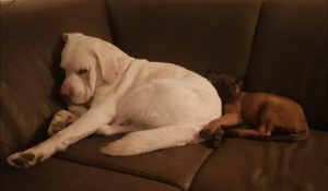 272837313 1398507960583433 3619679589805080233 n