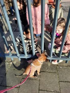 272870253 5342429809120453 4225360794059228382 n (1)