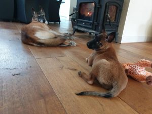 272878614 4796513490455691 3424132114055853516 n