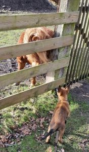 272901958 1404112576689638 900878641343379650 n