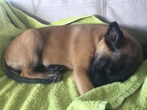 272928488 5567604706589689 7407301939883683243 n