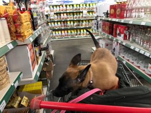 272931630 5567556346594525 4492790386311493155 n