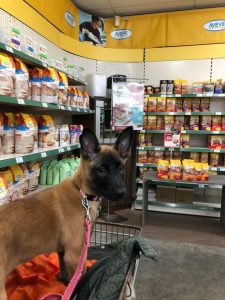 272971082 5567556219927871 4506893719068588622 n