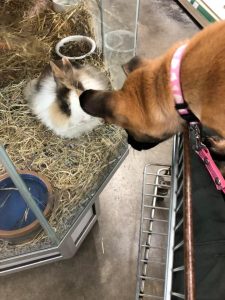 272982329 5567556186594541 120068436156295261 n