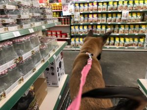 273001015 5567556366594523 2648496836022102273 n